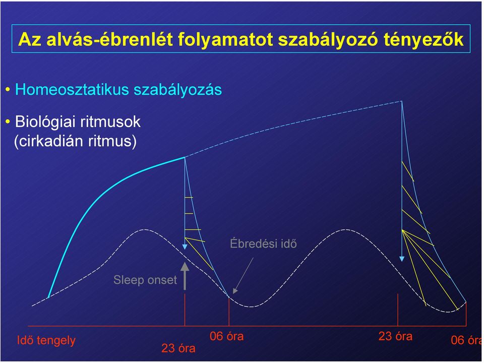 Biológiai ritmusok (cirkadián ritmus)