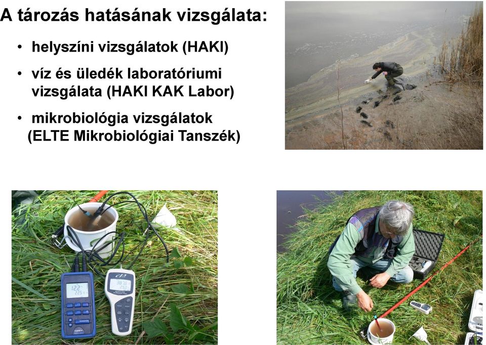 laboratóriumi vizsgálata (HAKI KAK Labor)