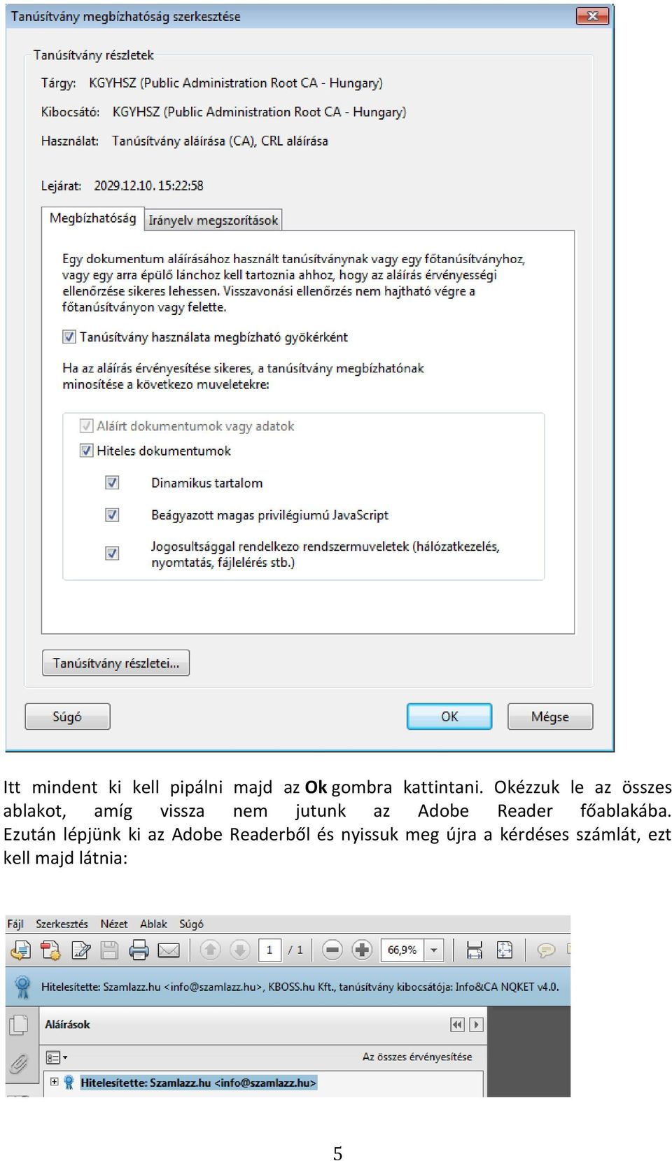 Adobe Reader főablakába.