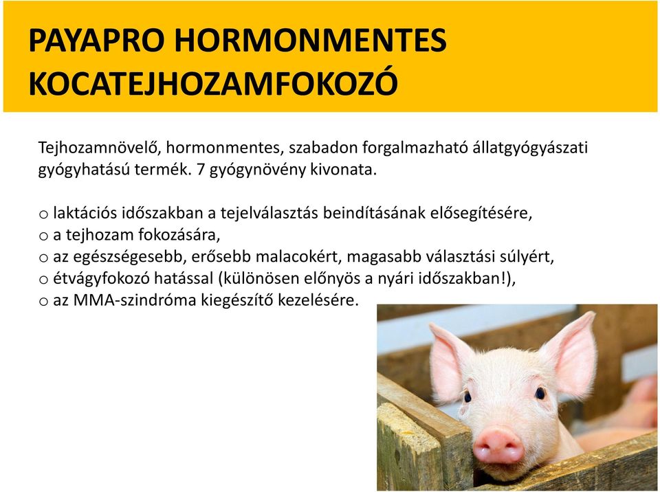 olaktációs időszakban a tejelválasztás beindításának elősegítésére, oa tejhozam fokozására, oaz