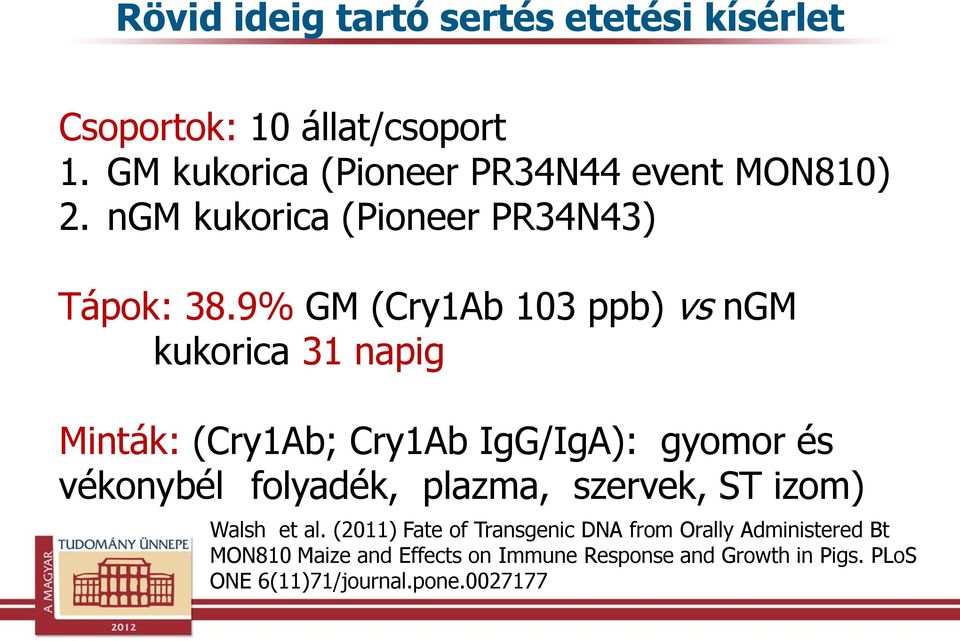 9% GM (Cry1Ab 103 ppb) vs ngm kukorica 31 napig Minták: (Cry1Ab; Cry1Ab IgG/IgA): gyomor és vékonybél folyadék,