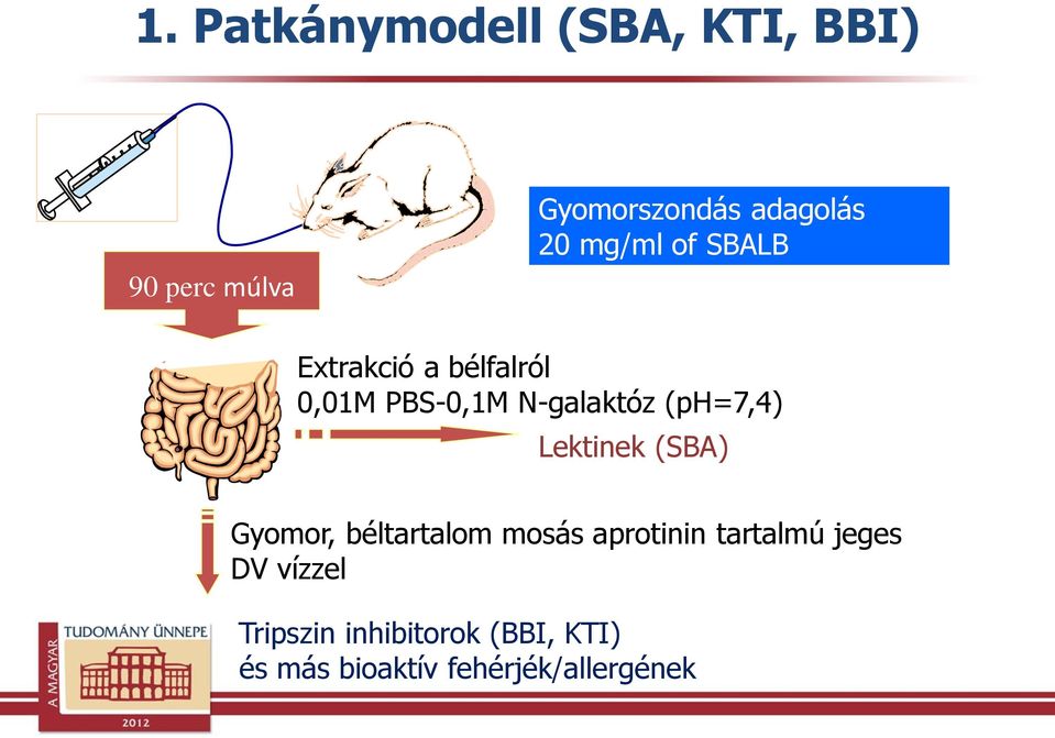 (ph=7,4) Lektinek (SBA) Gyomor, béltartalom mosás aprotinin tartalmú