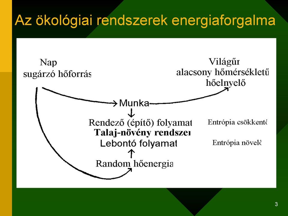 rendszerek