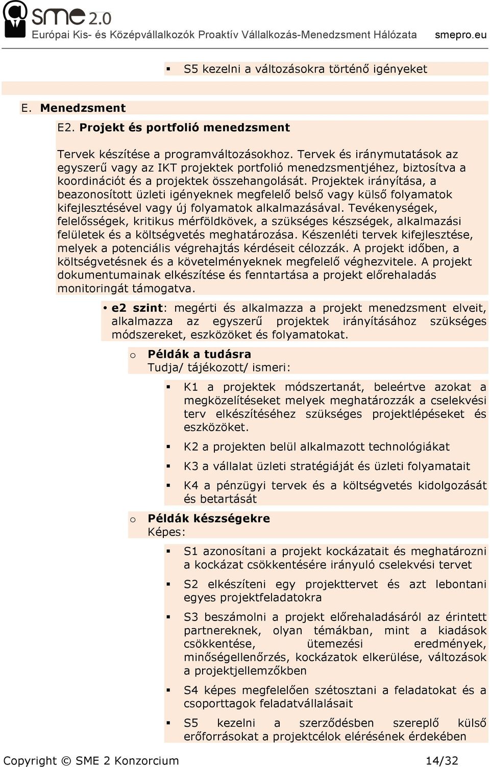 Projektek irányítása, a beazonosított üzleti igényeknek megfelelő belső vagy külső folyamatok kifejlesztésével vagy új folyamatok alkalmazásával.