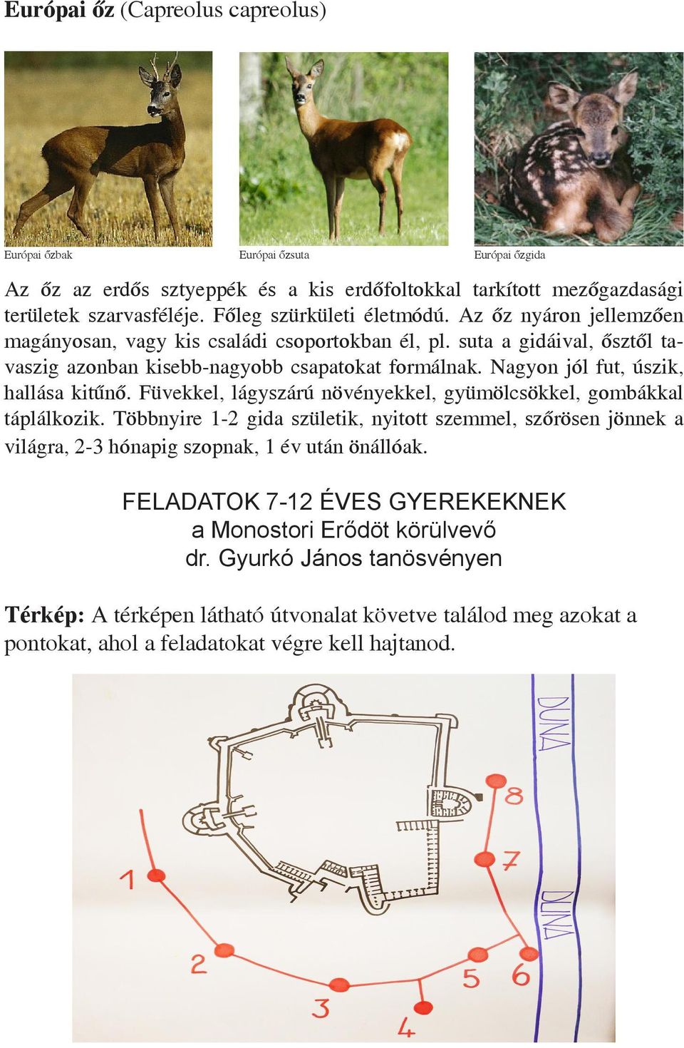 Nagyon jól fut, úszik, hallása kitűnő. Füvekkel, lágyszárú növényekkel, gyümölcsökkel, gombákkal táplálkozik.