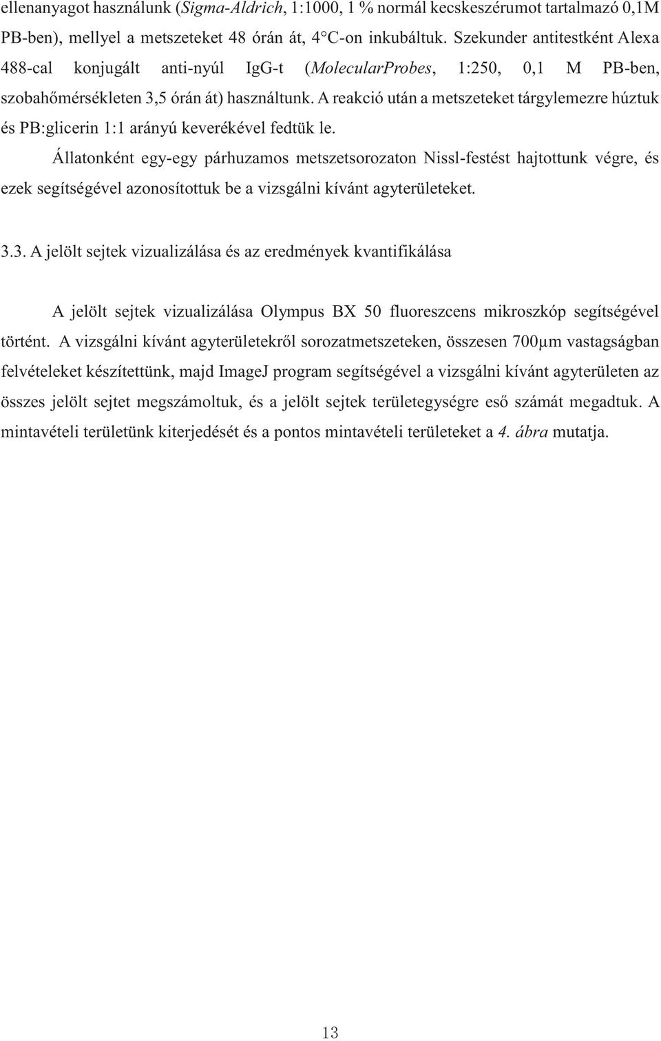A reakció után a metszeteket tárgylemezre húztuk és PB:glicerin 1:1 arányú keverékével fedtük le.