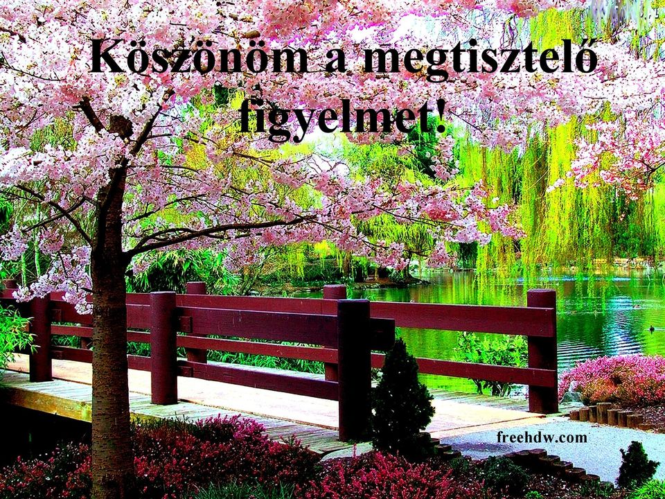 figyelmet!