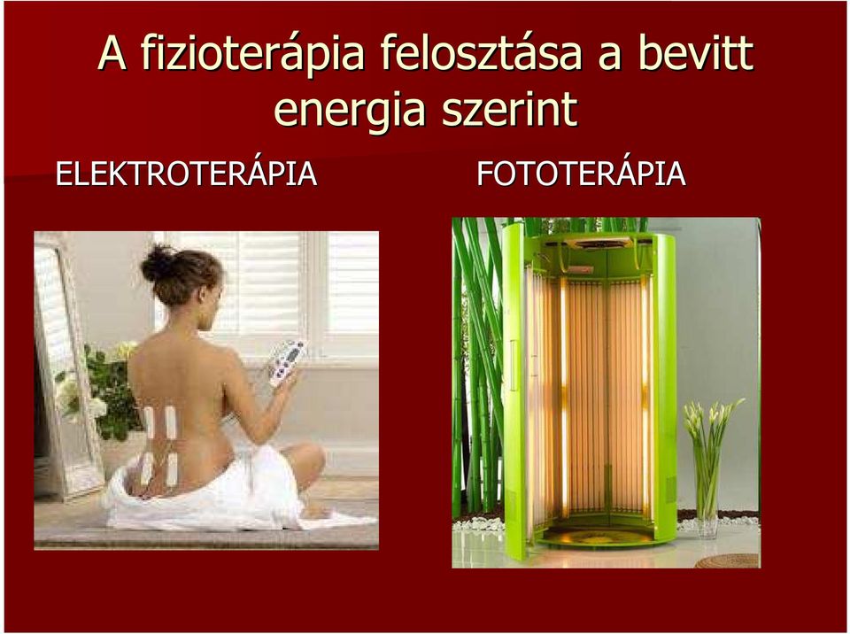 bevitt energia