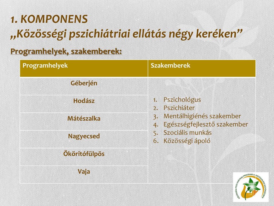 Nagyecsed 1. Pszichológus 2. Pszichiáter 3. Mentálhigiénés szakember 4.