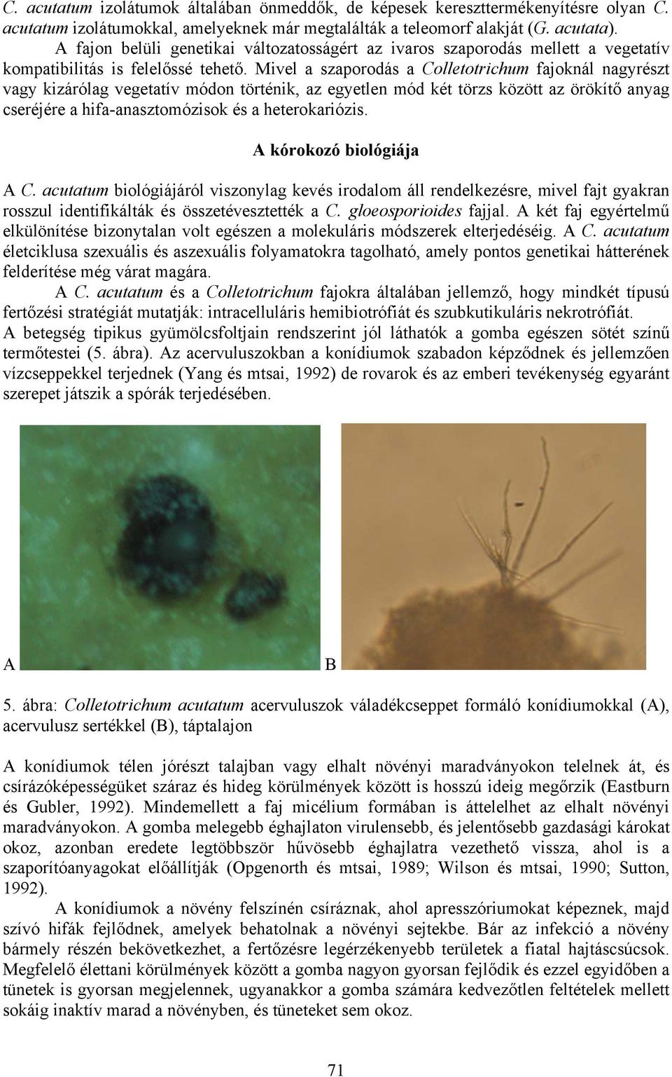 Mivel a szaporodás a Colletotrichum fajoknál nagyrészt vagy kizárólag vegetatív módon történik, az egyetlen mód két törzs között az örökítő anyag cseréjére a hifa-anasztomózisok és a heterokariózis.