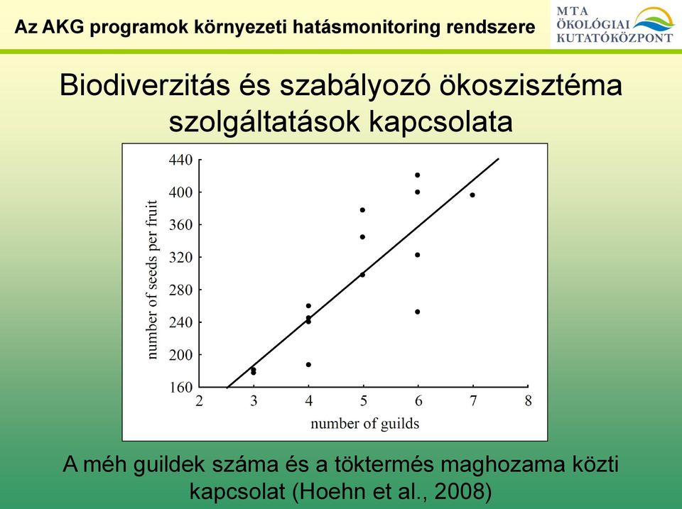 kapcsolata A méh guildek száma és a