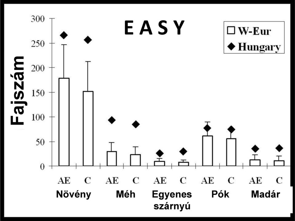 Méh Egyenes