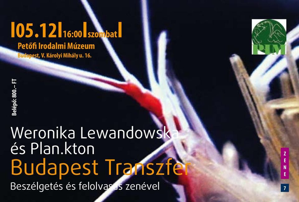 Belépő: 800. FT Weronika ewandowska és Plan.