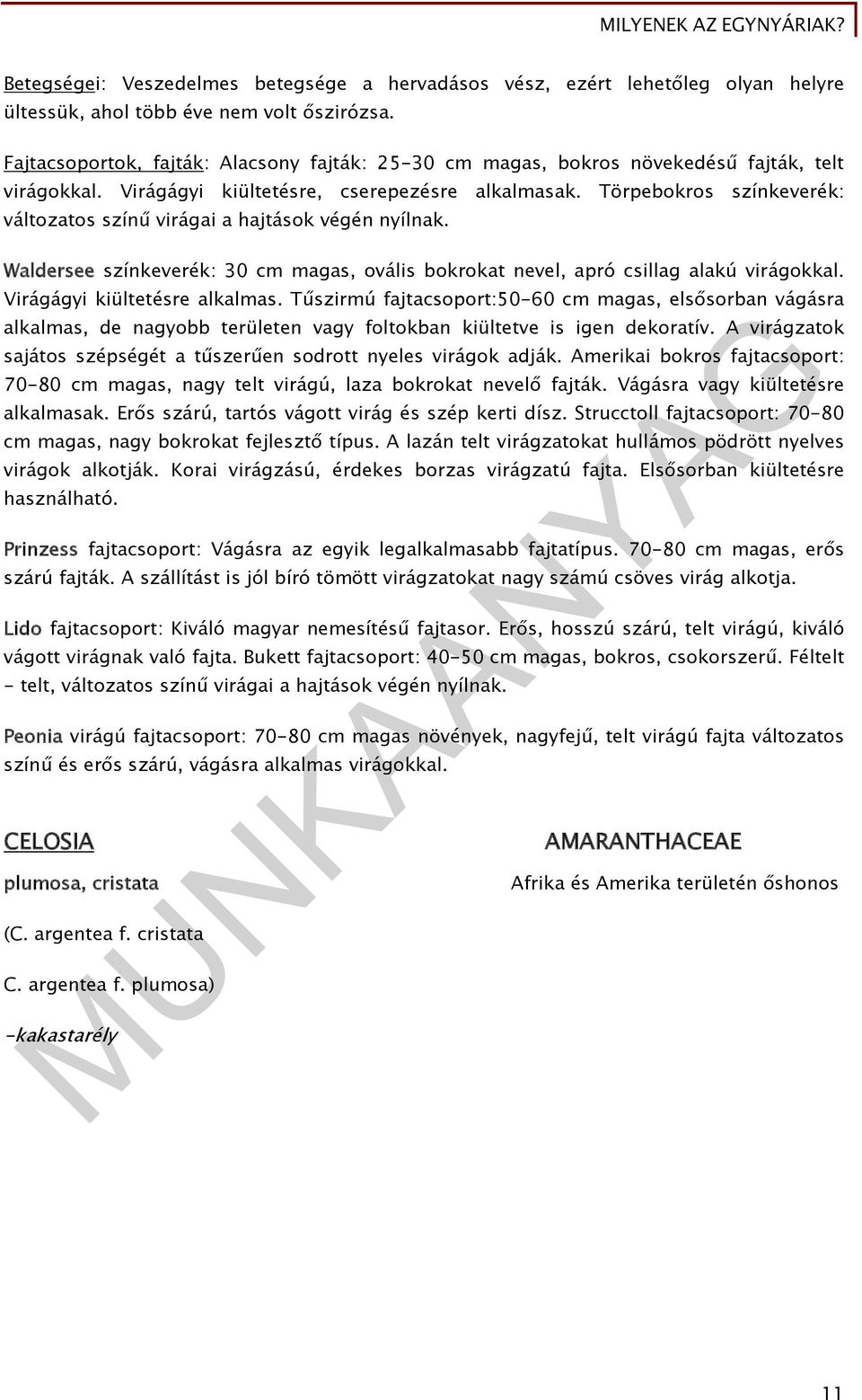 Törpebokros színkeverék: változatos színű virágai a hajtások végén nyílnak. Waldersee színkeverék: 30 cm magas, ovális bokrokat nevel, apró csillag alakú virágokkal. Virágágyi kiültetésre alkalmas.