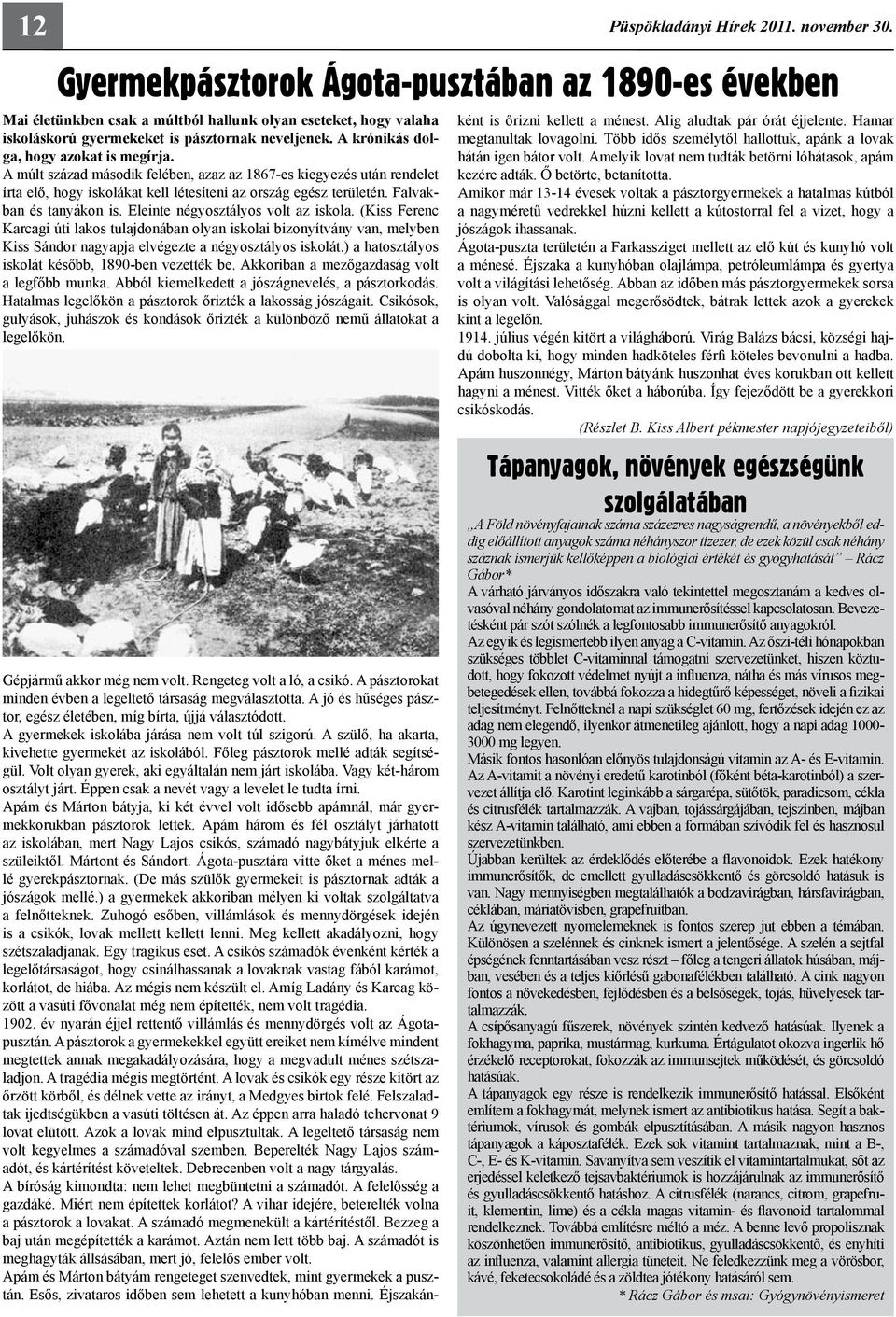 A krónikás dolga, hogy azokat is megírja. A múlt század második felében, azaz az 1867-es kiegyezés után rendelet írta elő, hogy iskolákat kell létesíteni az ország egész területén.