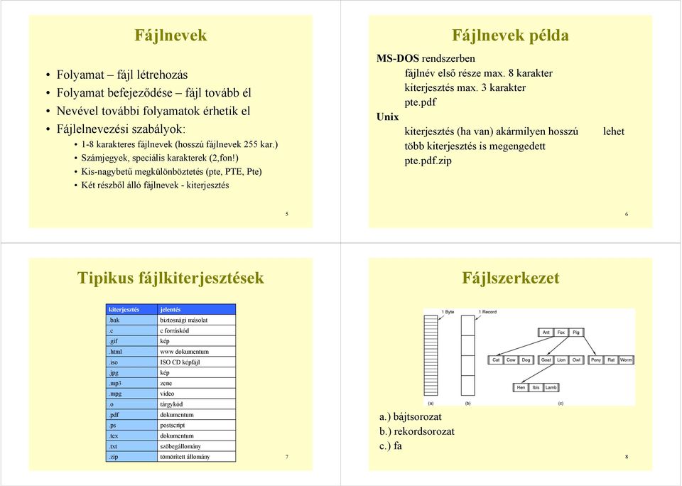8 karakter kiterjesztés max. 3 karakter pte.pdf Unix kiterjesztés (ha van) akármilyen hosszú több kiterjesztés is megengedett pte.pdf.zip lehet 5 6 Tipikus fájlkiterjesztések Fájlszerkezet kiterjesztés jelentés.