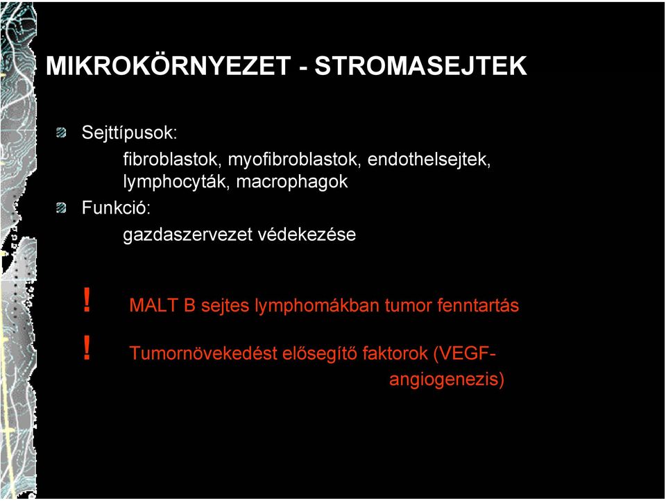 macrophagok gazdaszervezet védekezése!