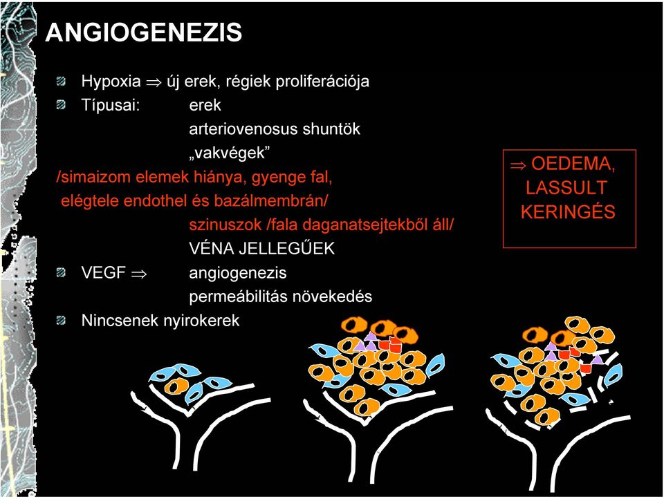 endothel és bazálmembrán/ szinuszok /fala daganatsejtekből áll/ VÉNA