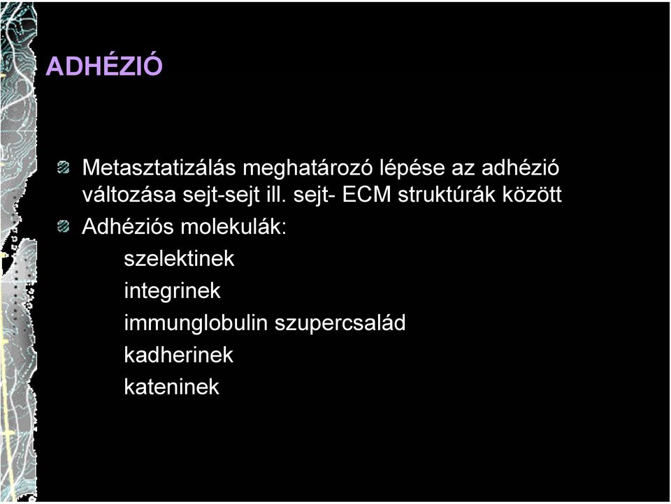 sejt- ECM struktúrák között Adhéziós molekulák: