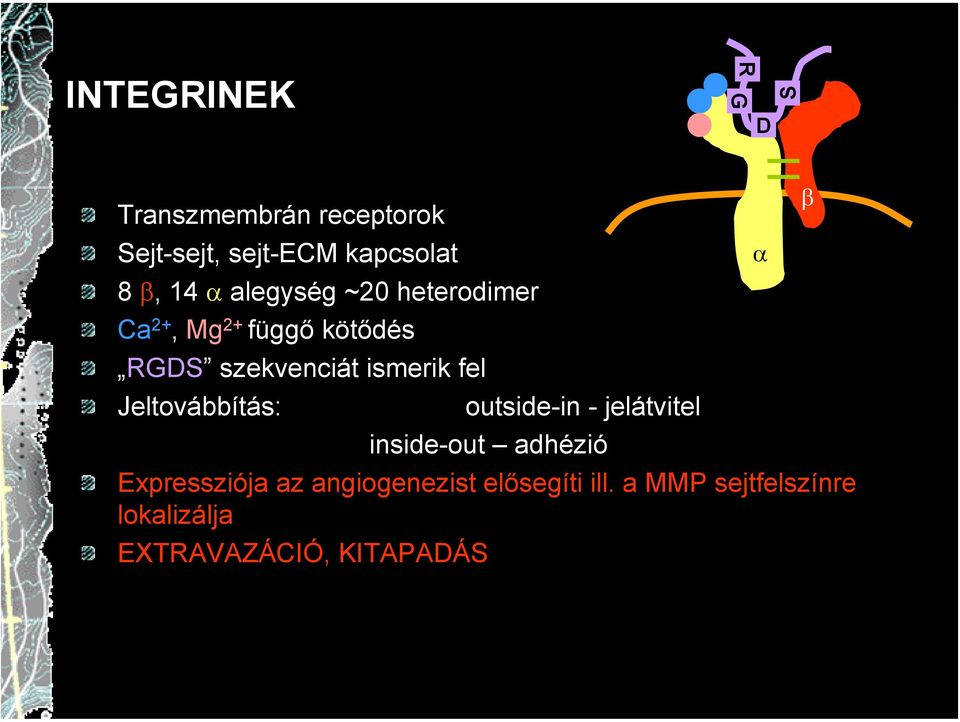 fel Jeltovábbítás: outside-in - jelátvitel inside-out adhézió Expressziója az