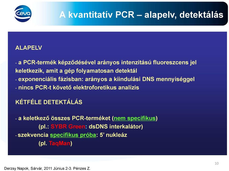 mennyiséggel - nincs PCR-t követő elektroforetikus analízis KÉTFÉLE DETEKTÁLÁS - a keletkező összes