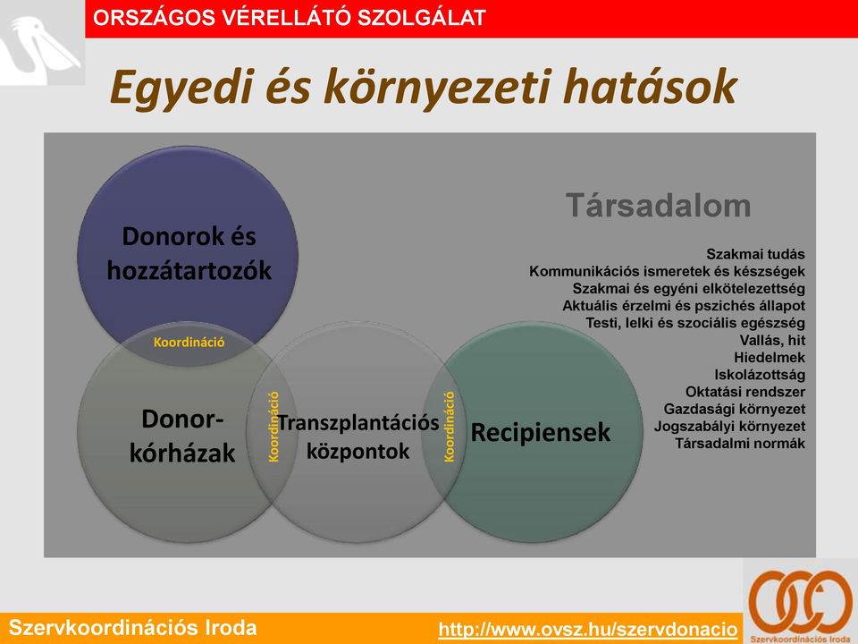 és készségek Szakmai és egyéni elkötelezettség Aktuális érzelmi és pszichés állapot Testi, lelki és szociális