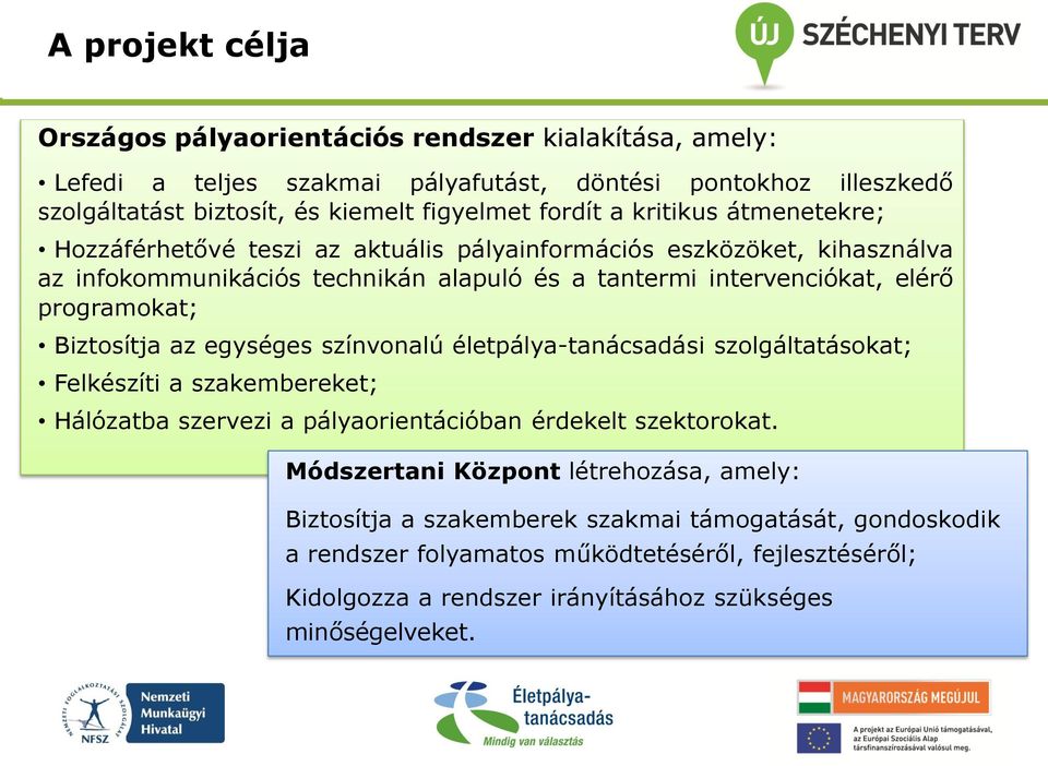 programokat; Biztosítja az egységes színvonalú életpálya-tanácsadási szolgáltatásokat; Felkészíti a szakembereket; Hálózatba szervezi a pályaorientációban érdekelt szektorokat.