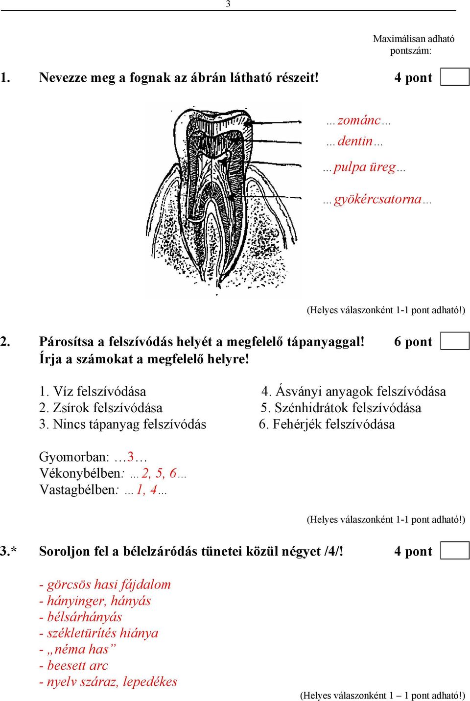 Zsírok felszívódása 5. Szénhidrátok felszívódása 3. Nincs tápanyag felszívódás 6. Fehérjék felszívódása Gyomorban: 3 Vékonybélben: 2, 5, 6 Vastagbélben: 1, 4 3.