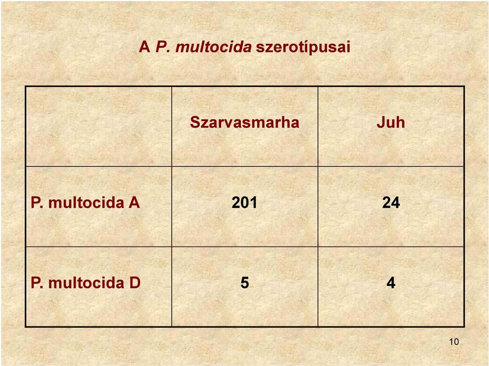 Szarvasmarha Juh P.