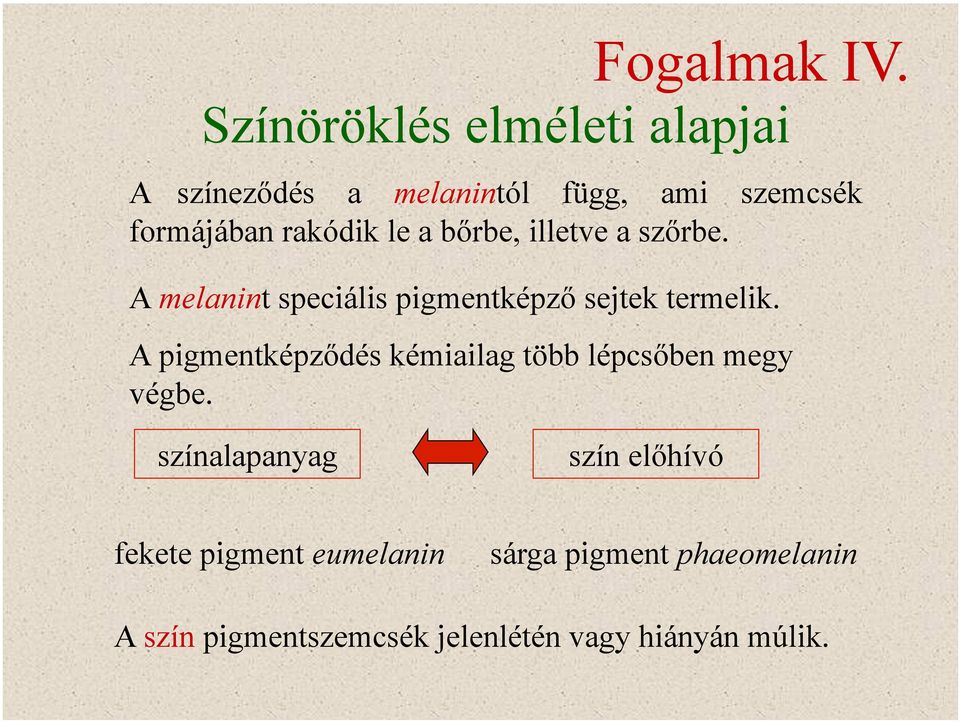 le a bőrbe, illetve a szőrbe. A melanint speciális pigmentképző sejtek termelik.