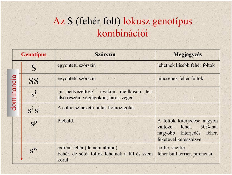 foltok nincsenek fehér foltok s p Piebald. A foltok kiterjedése nagyon változó lehet.