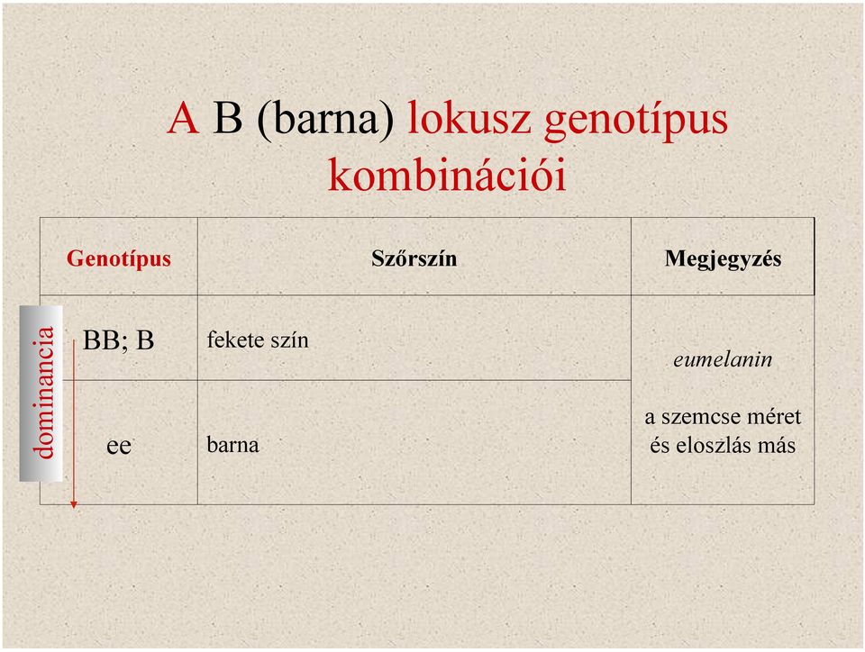 dominancia BB; B ee fekete szín