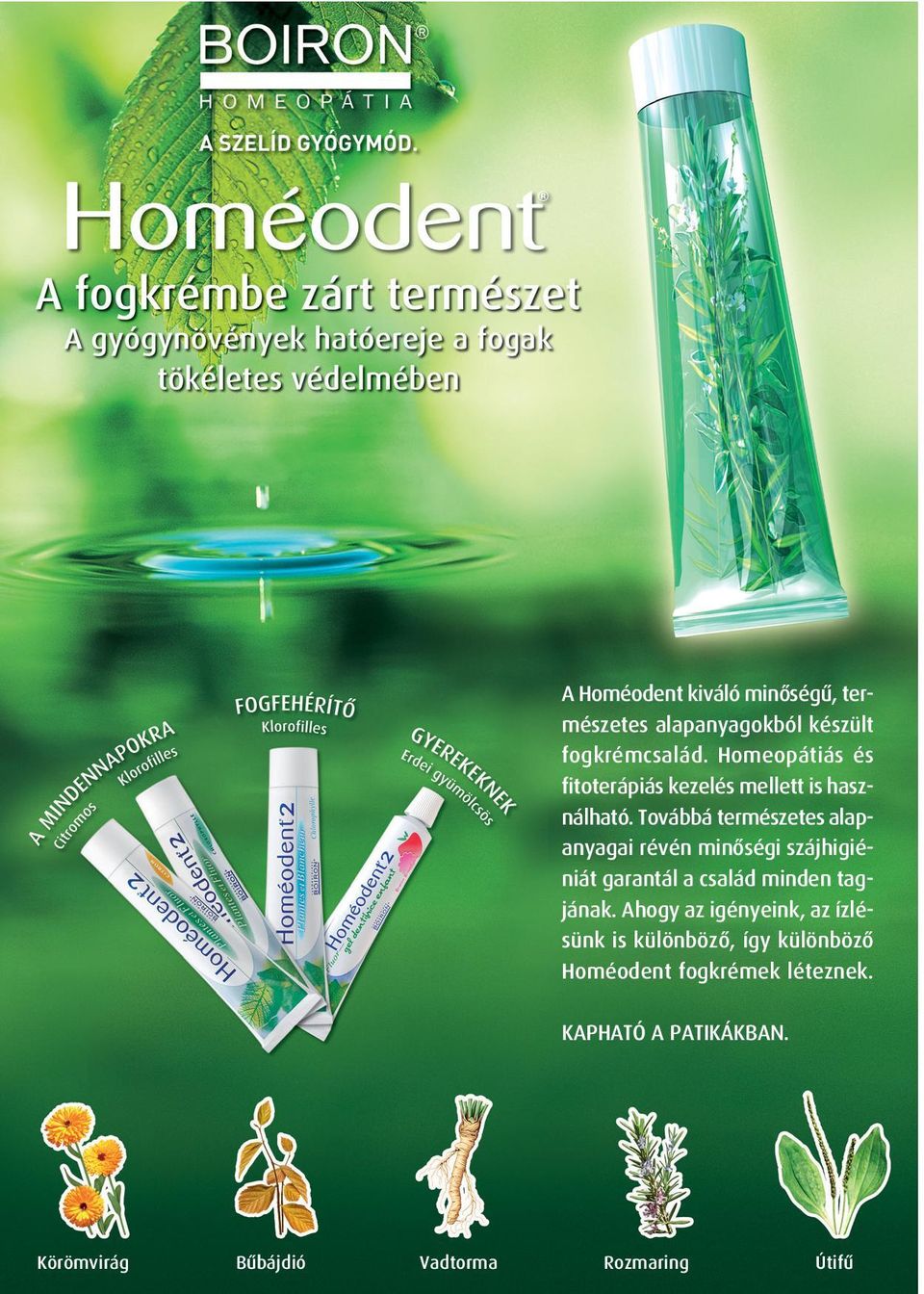 CUKORBETEGSÉG homeopátiás lehetőségek - Simon PatikaSimon Patika