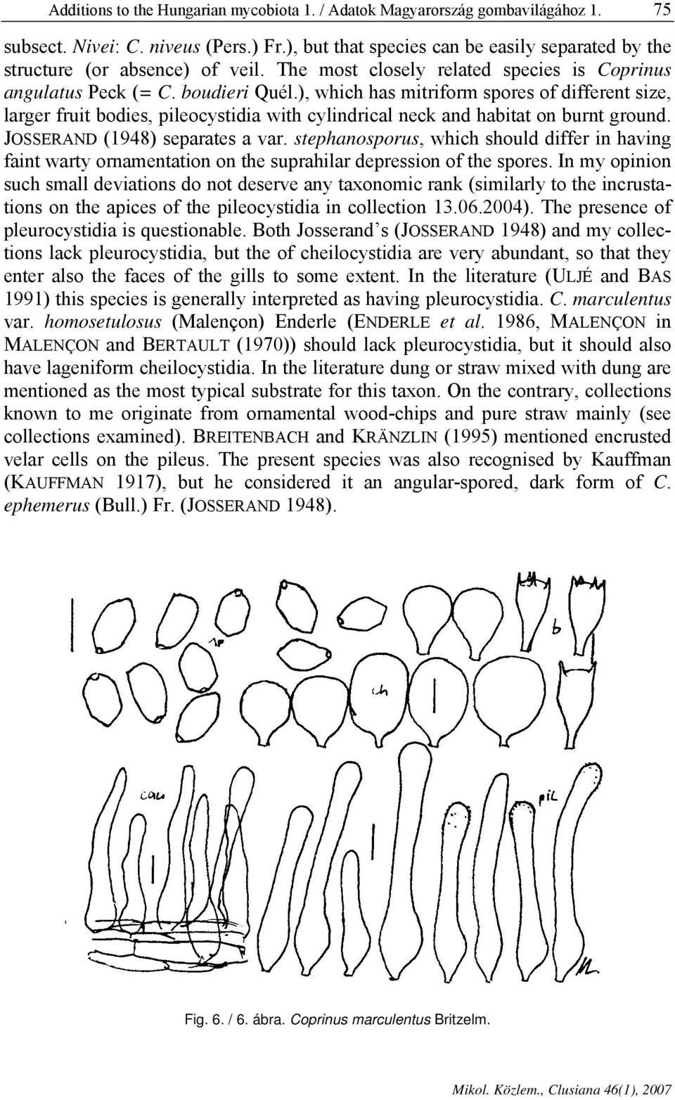 ), which has mitriform spores of different size, larger fruit bodies, pileocystidia with cylindrical neck and habitat on burnt ground. JOSSERAND (1948) separates a var.