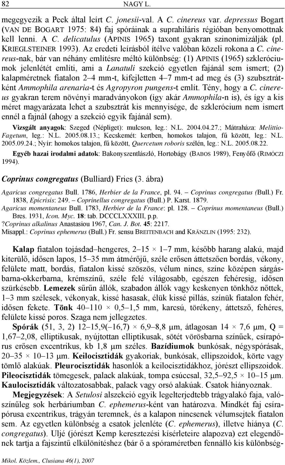 cinereus-nak, bár van néhány említésre méltó különbség: (1) APINIS (1965) szkleróciumok jelenlétét említi, ami a Lanatuli szekció egyetlen fajánál sem ismert; (2) kalapméretnek fiatalon 2 4 mm-t,