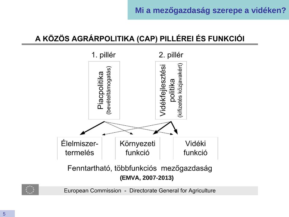 szerepe a