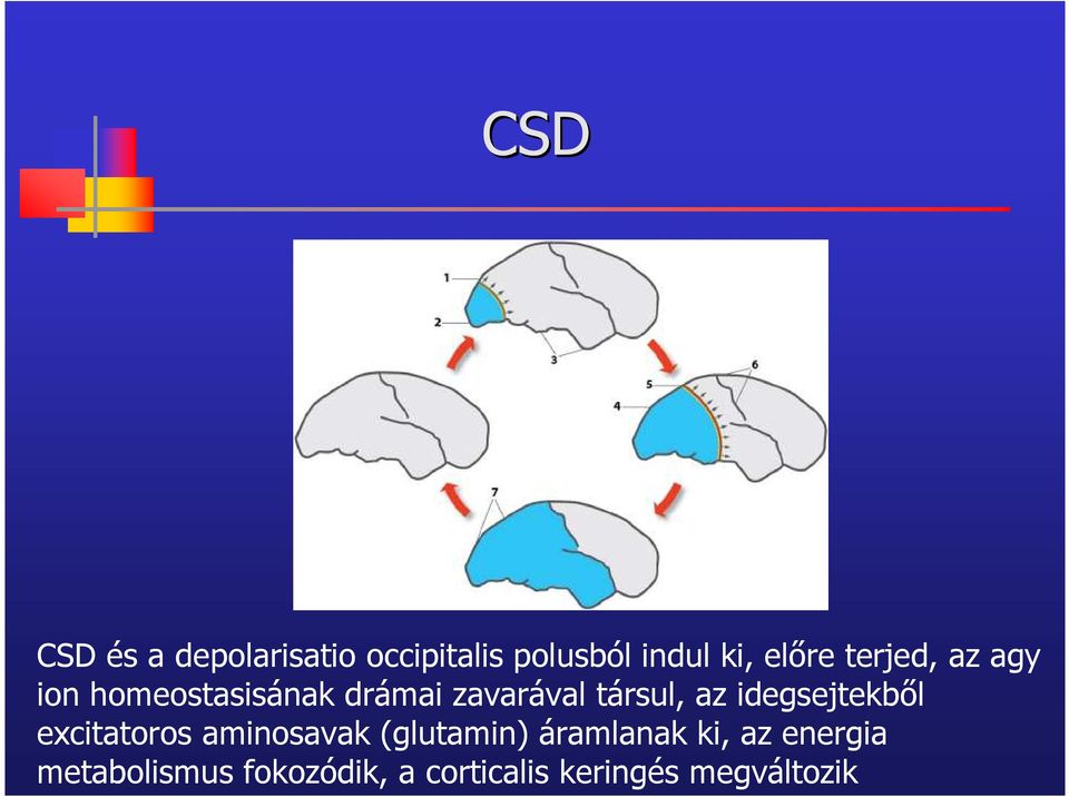 idegsejtekből excitatoros aminosavak (glutamin) áramlanak ki, az