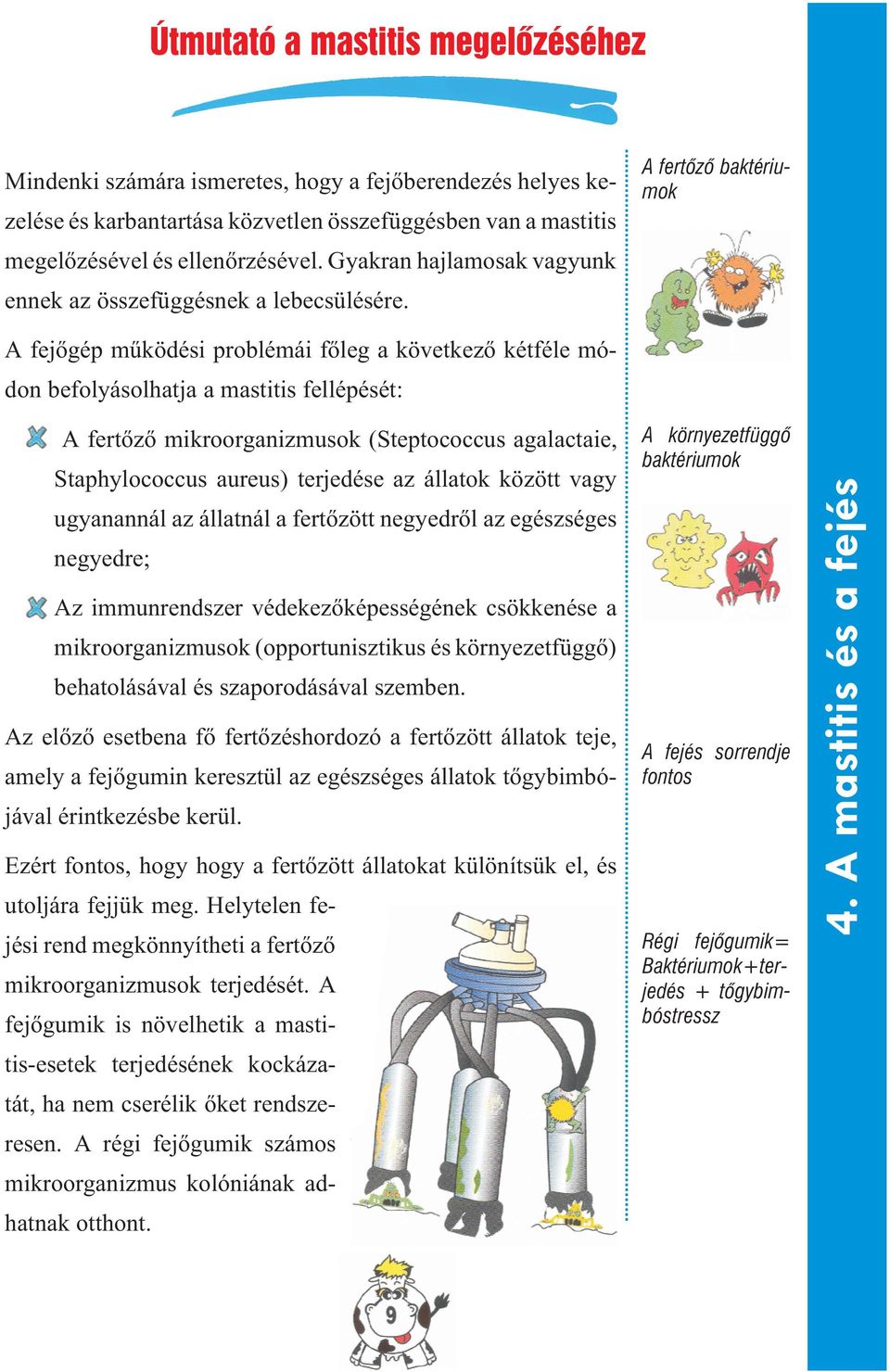 A fertõzõ baktériumok A fejõgép mûködési problémái fõleg a következõ kétféle módon befolyásolhatja a mastitis fellépését: A fertõzõ mikroorganizmusok (Steptococcus agalactaie, Staphylococcus aureus)