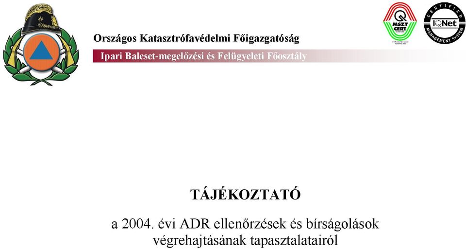 Főosztály TÁJÉKOZTATÓ a 2004.
