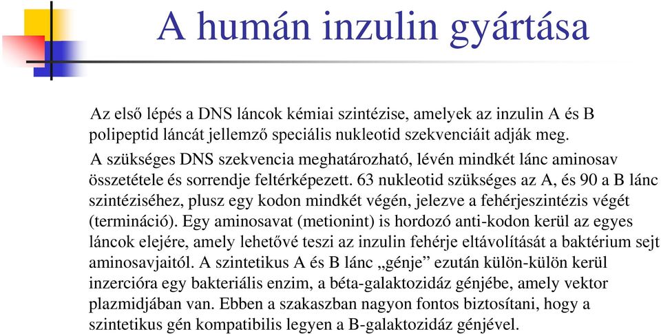 63 nukleotid szükséges az A, és 90 a B lánc szintéziséhez, plusz egy kodon mindkét végén, jelezve a fehérjeszintézis végét (termináció).