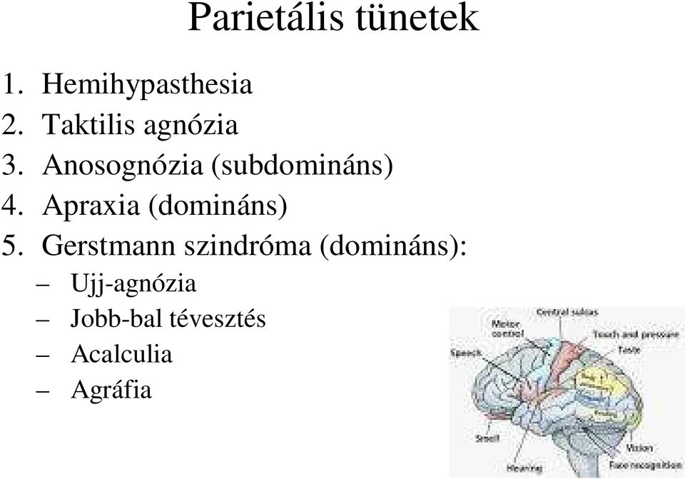 Apraxia (domináns) 5.