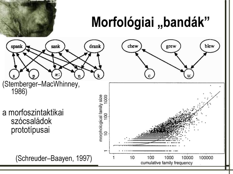 a morfoszintaktikai