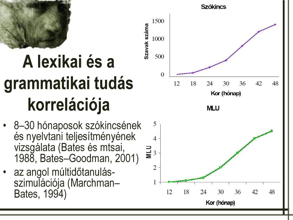 vizsgálata (Bates és mtsai, 1988, Bates Goodman, 2001)