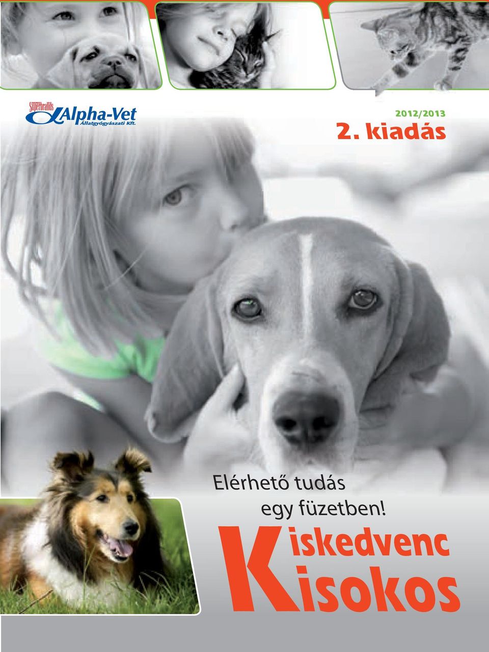 tudás egy