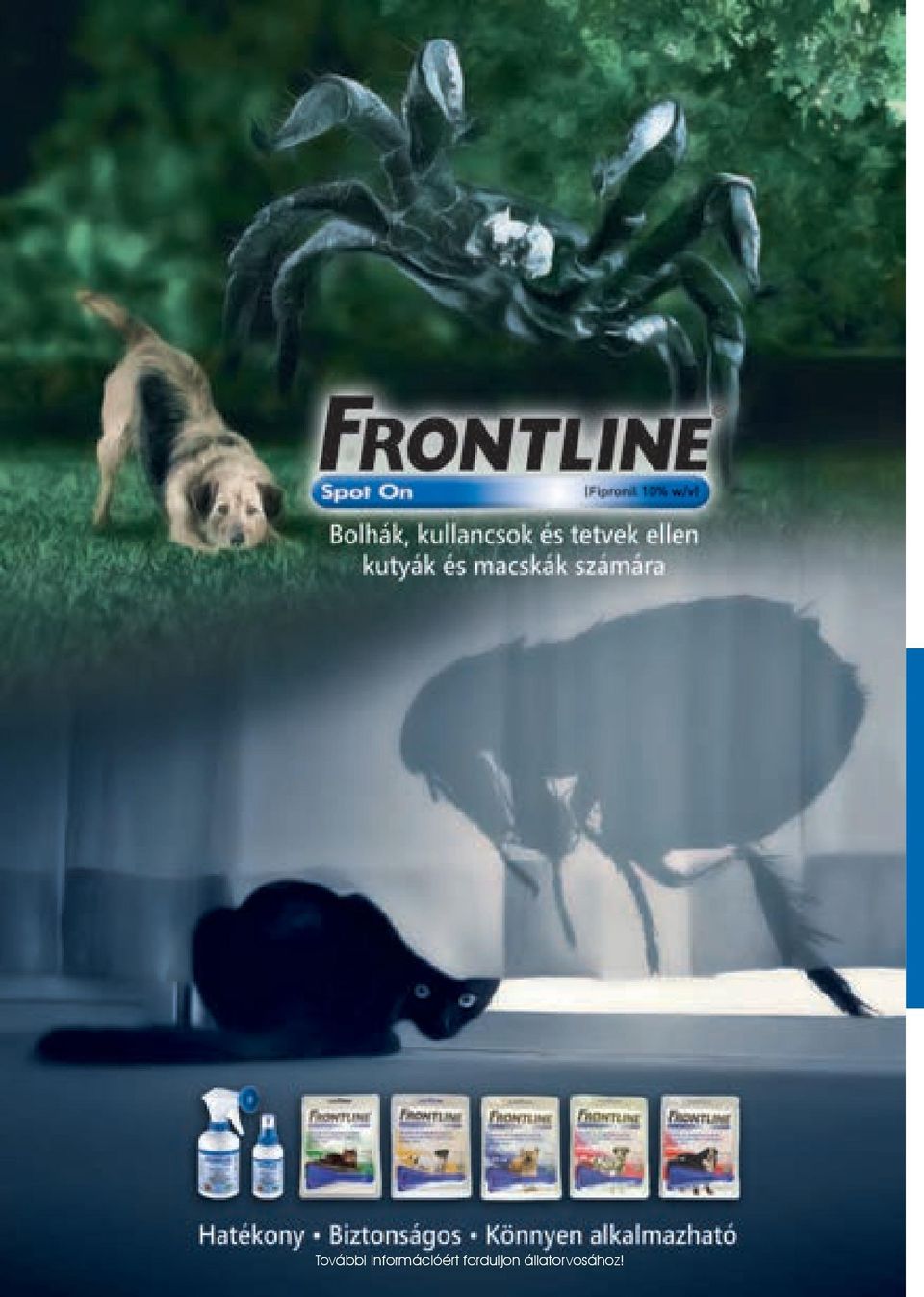 információért