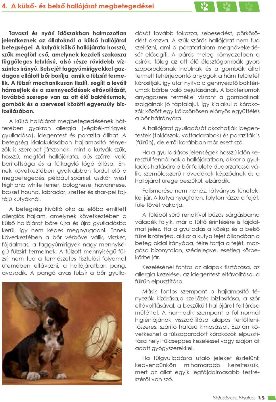 Belsejét faggyúmirigyekkel gazdagon ellátott bőr borítja, amik a fülzsírt termelik.