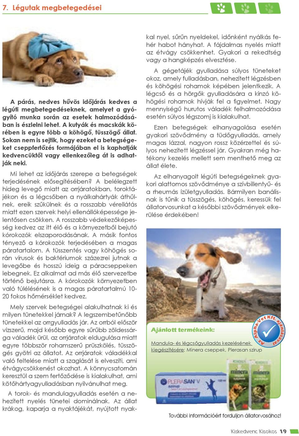 Sokan nem is sejtik, hogy ezeket a betegségeket cseppfertőzés formájában el is kaphatják kedvencüktől vagy ellenkezőleg át is adhatják neki.