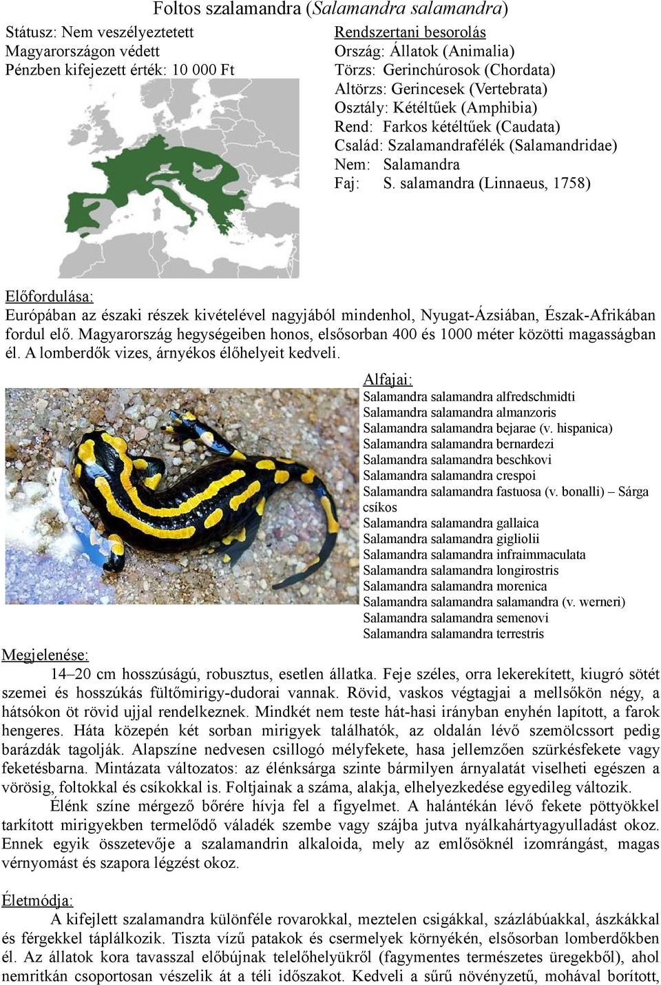 salamandra (Linnaeus, 1758) Előfordulása: Európában az északi részek kivételével nagyjából mindenhol, Nyugat-Ázsiában, Észak-Afrikában fordul elő.