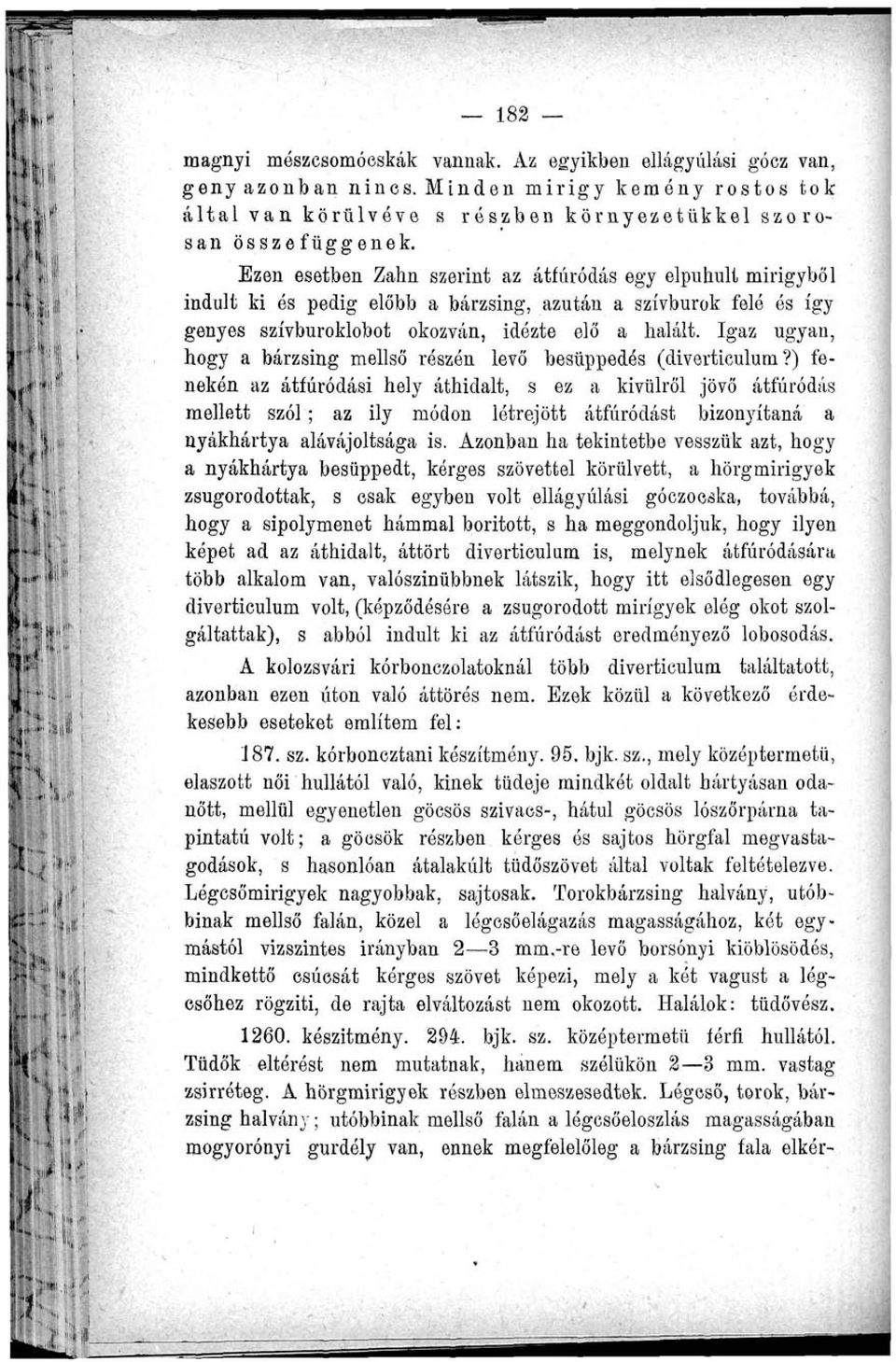 Igaz ugyan, hogy a bárzsing mellső részén levő besüppedés (diverticulum?