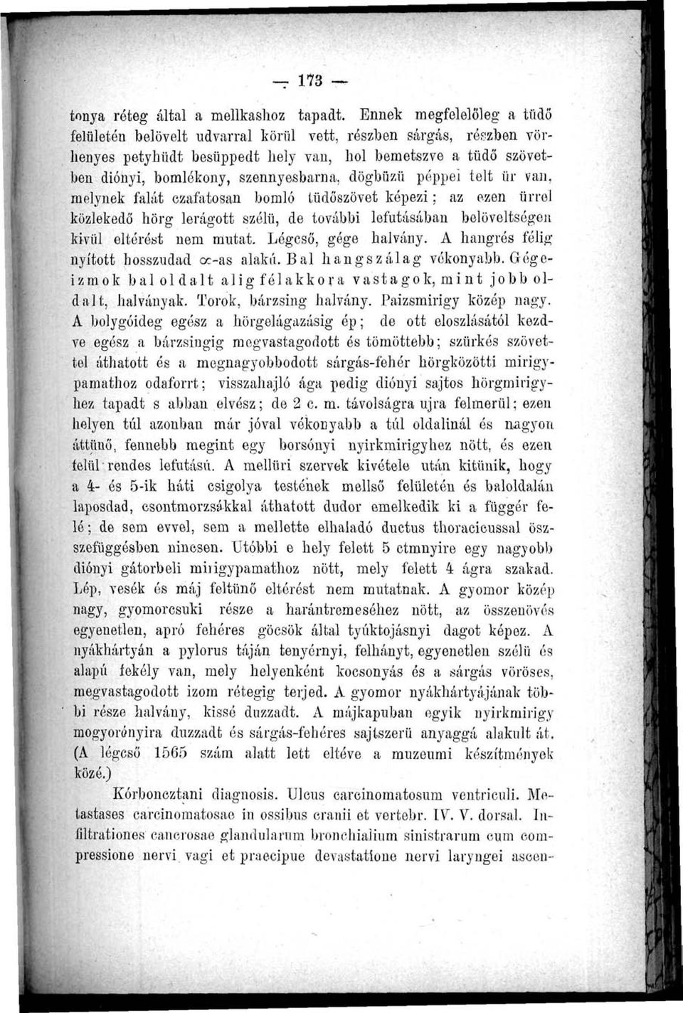 dögbüzü péppel telt ür van, melynek falát ezafatosan bomló tüdőszövet képezi; az ezen űrrel közlekedő hörg lerágott szélű, de további lefutásában belöveltségen kivül eltérést nem mutat.